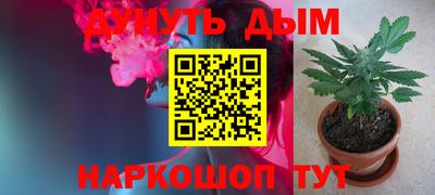 сатива Будённовск