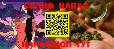 сатива Будённовск