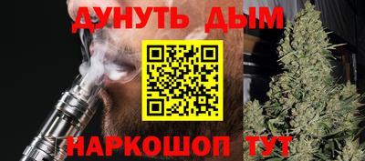 сатива Будённовск