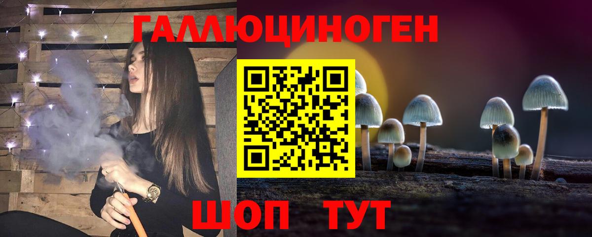 Красноперекопск  Галлюциногенные грибы Psilocybine cubensis  Вход с VPN 